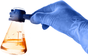 Chem - Alcoholic Beverage, HD Png Download PNG image with transparent background