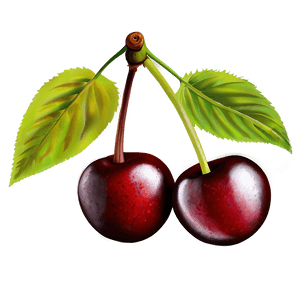 Cherries Drawing PNG 06212024 PNG with transparent background