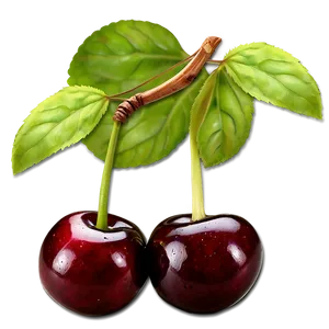 Cherries Garnish Png 06212024 PNG Image
