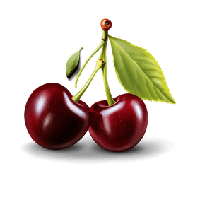 Cherries Icon PNG 8 PNG image with transparent background