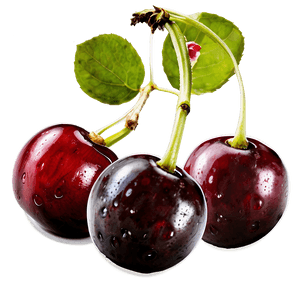 Cherries Isolated PNG 06212024 PNG image with transparent background