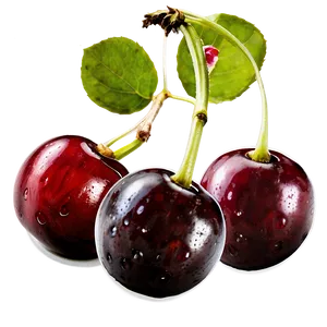 Cherries Isolated Png 06212024 PNG Image
