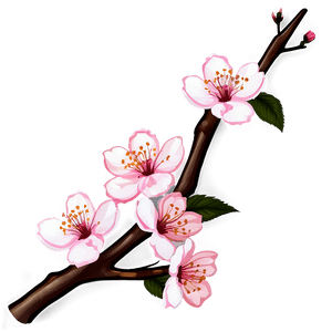 Cherry Blossom Branch Design PNG 05032024 PNG image with transparent background