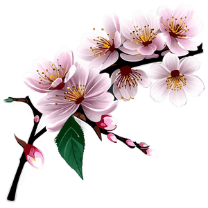 Cherry Blossom Branch Design PNG 16 PNG image with transparent background