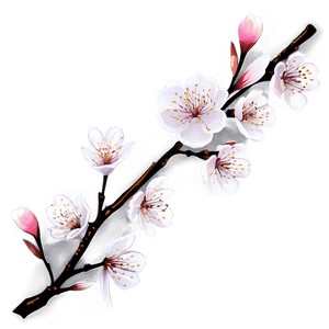Cherry Blossom Branch Design PNG cjr PNG image with transparent background