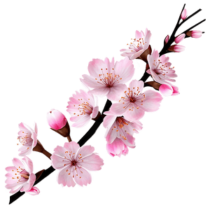 Cherry Blossom Branch Design PNG xiv41 PNG image with transparent background