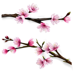 Cherry Blossom Branches Png Saf PNG Image