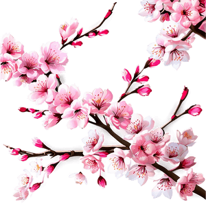 Cherry Blossom Festival Graphics PNG aya73 PNG image with transparent background
