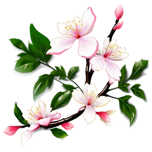 Cherry Blossom Neck Tattoo Images Png Xme PNG Image