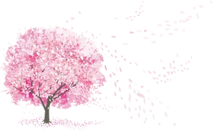 Cherry Blossom Night Breeze PNG Image