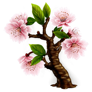 Cherry Blossom Night View PNG jtd94 PNG image with transparent background