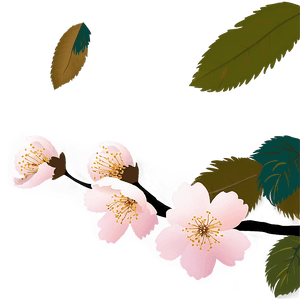 Cherry Blossom Night View PNG xjo PNG image with transparent background