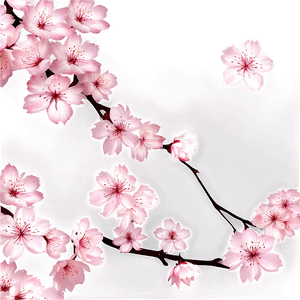 Cherry Blossom Petals Overlay PNG gav PNG image with transparent background