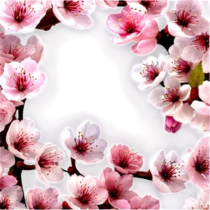 Cherry Blossom Petals Png Jna60 PNG Image