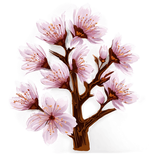 Cherry Blossom PNG kjg PNG