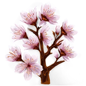 Cherry Blossom Png Kjg PNG Image