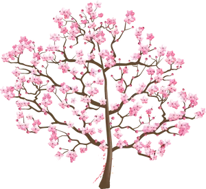 Cherry Blossom Tree Illustration PNG Image