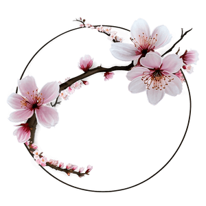 Cherry Blossom Under Moonlight PNG xvm PNG image with transparent background