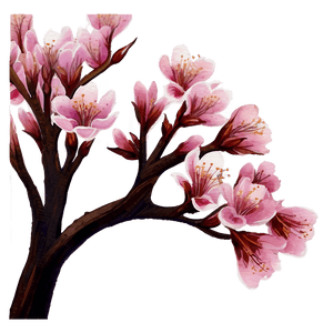 Cherry Blossom Watercolor Painting PNG 05032024 PNG image with transparent background