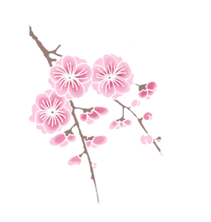 Cherry Blossomson Branch PNG image with transparent background