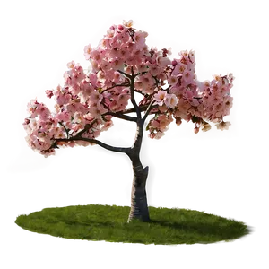 Cherry Tree A PNG Image