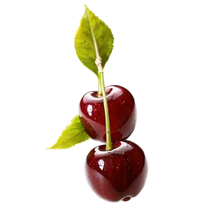 Cherry Tree Branch Png Bfh10 PNG Image