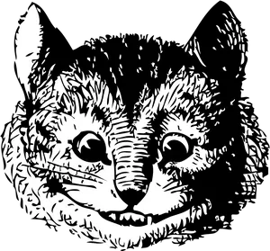 Cheshire Cat Blackand White Illustration PNG Image