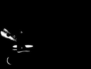 Cheshire Cat Smilein Darkness PNG image with transparent background