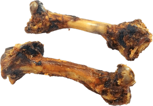 Chewed Dog Bones PNG image with transparent background