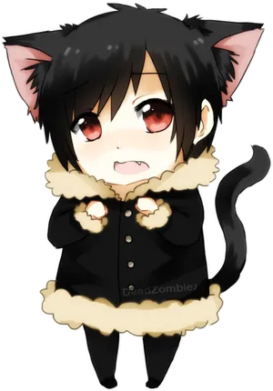 Chibi Cat Boyin Black Coat PNG Image