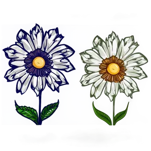 Chic Flower Drawing Png Ana PNG Image