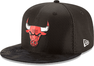 Chicago Bulls Black Flat Brim Hat PNG image with transparent background