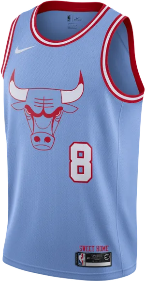 Chicago Bulls Blue Jersey Number8 PNG Image