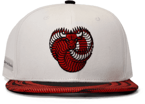 Chicago Bulls Logo Baseball Cap PNG image with transparent background