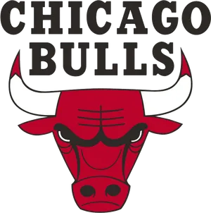 Chicago Bulls Logo PNG Image