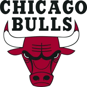 Chicago Bulls Logo Graphic PNG Image