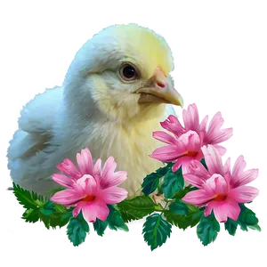 Chicky And Pink Flowers Png Wwe PNG Image