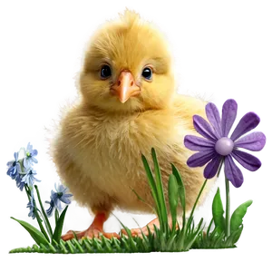 Chicky In Spring Flowers Png 06282024 PNG Image