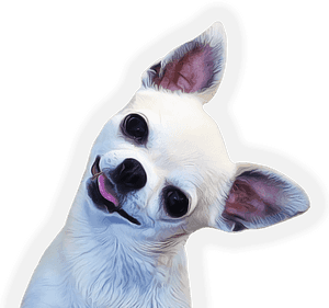 Chihuahua Face Side, HD Png Download PNG image with transparent background