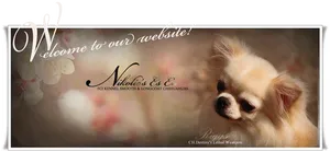 Chihuahua Kennel Website Banner PNG Image