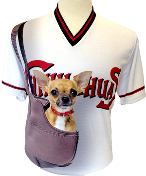 Chihuahua Png, Transparent Png PNG image with transparent background