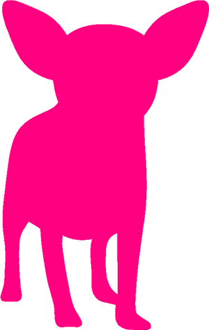 Chihuahua Png, Transparent Png PNG image with transparent background