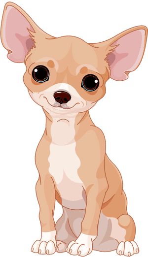 Chihuahua Vector , Png Download - Chihuahua Cartoon Png, Transparent Png PNG image with transparent background