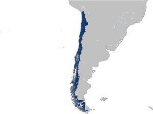 Chile Map Outline PNG image with transparent background