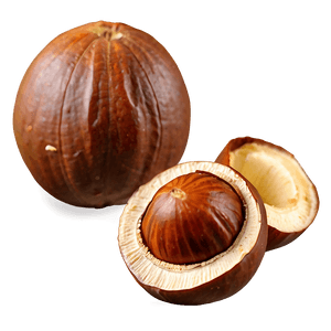 Chilean Hazelnut PNG 06122024 PNG with transparent background