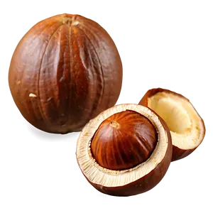 Chilean Hazelnut Png 06122024 PNG Image