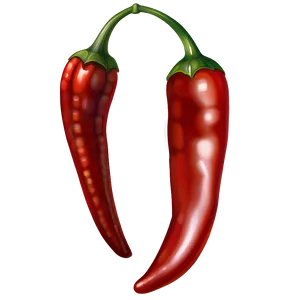 Chili Pepper Drawing Png Fxv PNG Image