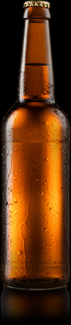 Chilled Beer Bottle Against Black Background PNG image with transparent background
