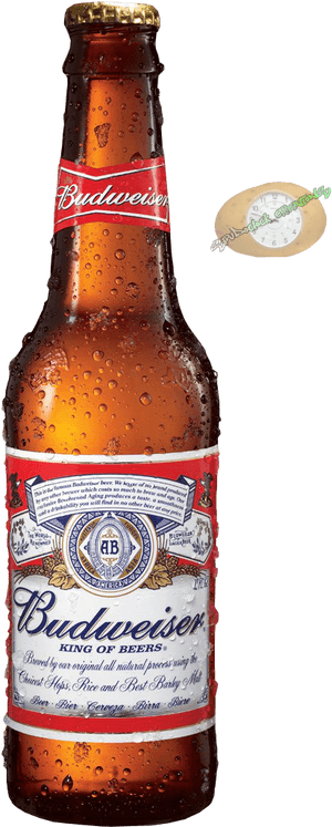 Chilled Budweiser Beer Bottle PNG