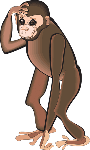 Chimpanzee Clipart Png, Transparent Png PNG image with transparent background